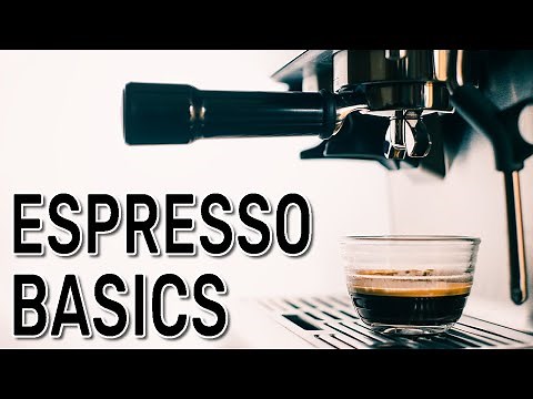 Espresso Basics for Beginners | Espresso at Home Recipe!