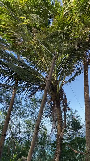 Preskong hangin? #fyp #tiktokph #province #trending