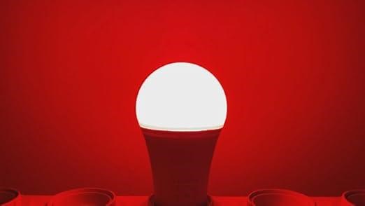 0694965a3bbd45868a4e3dd5bf61bc29