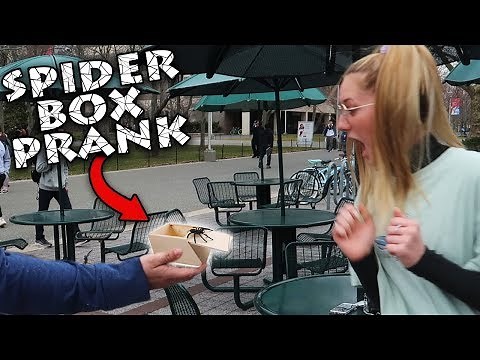 SCARY SPIDER IN A BOX PRANK IN PUBLIC! (PART 2)