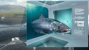 Cermaq Launches iFarm Project in January | Aquaculture | Fish Focus