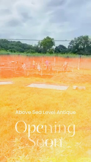 6.4K views · 39 reactions | Above Sea Level Making Waves as we open...