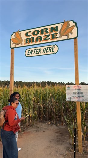 James Travis on Reels