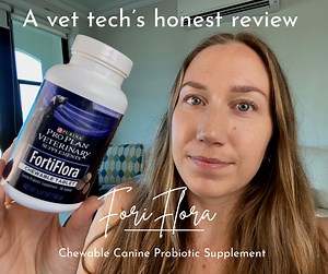 Watch Vet tech's FortiFlora probiotics review on Amazon Live