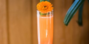 Sunset's Best Cocktails for Watching the Sunset