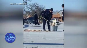 Police officers called to scene of spilled doughnuts