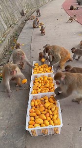 1.9K views | Amazing World on Reels | Facebook