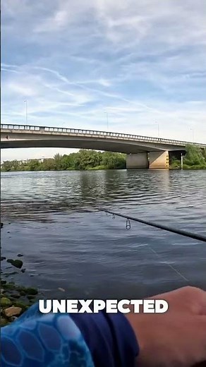 3 spinnerbait techniques