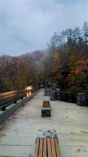 This 90’ waterfall is located in Cherokee National Forest, just outside the town of Tellico Plains, TN. It’s called Bald River Falls. It’s right on the road, free to visit, has a wheelchair accessible viewing deck, and some of the most amazing river scenery I’ve seen in the Southeast. The road in is paved. Pets are allowed. Highly recommend this gem! Be sure to check out the river access viewpoints on the drive in, and drive up along the river a little further to see ‘Baby Falls’ as well! #baldr