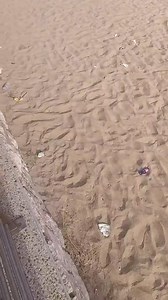 4.2K views · 89 reactions | Spiaggia libera fronte Stazione San Menaio, appena pulita qualche giorno fa, con cestino getta carte a pochi metri, ecco il risultato dopo solo un fine settimana. Faccio nuovamente appello al vostro senso civico. Se la spiaggia è sporca non è colpa dell’Azienda di Igiene, ma Solo nostra. | Modern Family Scenes | Facebook