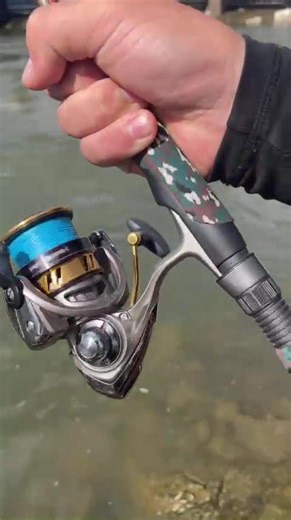 big cod burning drag