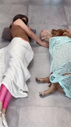 风和日丽人心不古，只有狗子始终如一 #funny #pets #美女搞笑 #dogs #goldenretriever