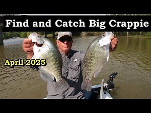 Fishing Expert Shares Secrets For Catching Crappie In Brush