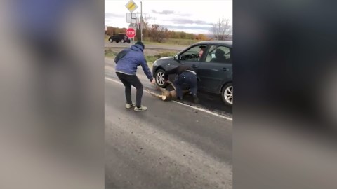 Heartwarming Animal Rescue – A Story of Hope and Second Chances