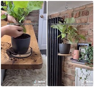 This Easy DIY Hanging Planter Costs Zero Dollars - Hunker