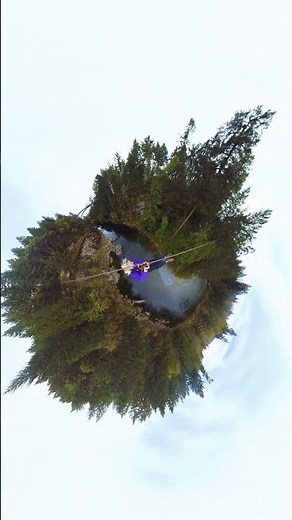 Zipline in Nanaimo BC — Is It Worth It? #zipline #adventure #wickedoutdooradventures