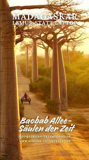 Baobab-Allee auf Madagaskar bei Sonnenuntergang – Gänsehaut garantiert