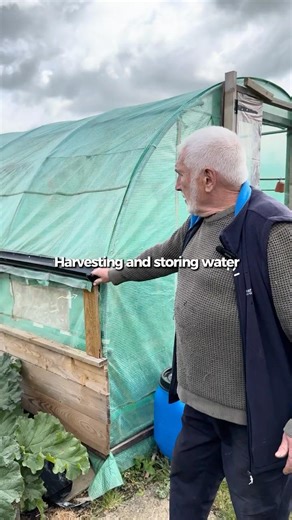 Harvesting and Storing Water in your Allotment #rainwaterharvesting #allotmentlife #waterharvesting