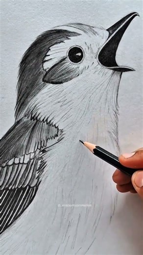 I drew a bird… but it taught me how to fly. 🌿✨