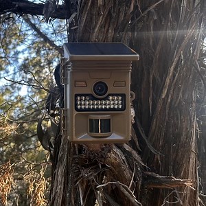 7K views · 172 reactions | Thank you to Campark Trail Camera for...