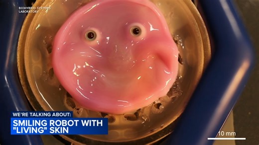 This smiling robot has a face covered in 'living' skin