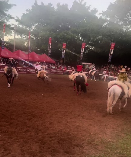 Exciting Rodeo Event with Thrilling Horse Riders
