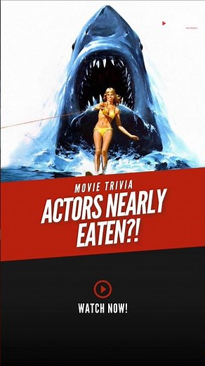 The Day a Real Shark Crashed the Set of Jaws 2!