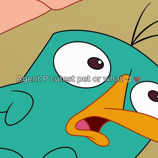 Perry the Platypus cutest pet or what?