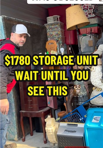 Discovering an Owl Superfan in a Storage Unit