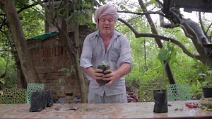 19 reactions · 3 comments | "Bringing the farm to the city ️ Learn how to grow your own edible weed garden with our step-by-step guide! #urbanfarming #edibleweeds #greenthumb" Click the link to read the blog https://solitude.farm/365-days/how-to-make-your-urban-edible-weed-garden/ #roadbacktonature #solitudefarm #culturalredemption #organic #natural #aurovillefarm #permaculture #krishnamckenzie | Krishna Mckenzie | Facebook