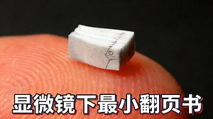 【中配】动画师对决微观手翻书 - Andymation