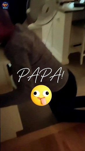 22K views · 346 reactions | Starts Funny. Ends Hilarious. ‍♂️露 Don't blink!  #VirtualReality #funnyreels #funnyvideos #vrgaming #infinityvrgaming | Infinity VR Gaming | Facebook