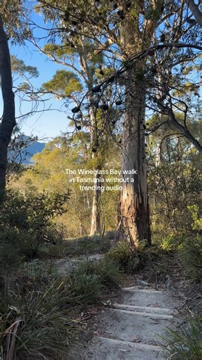 472 reactions · 23 shares | Wineglass Bay Walk, Tasmania ✨ One of...