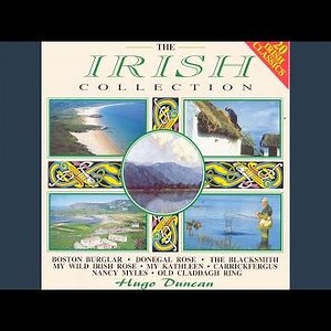 My Wild Irish Rose