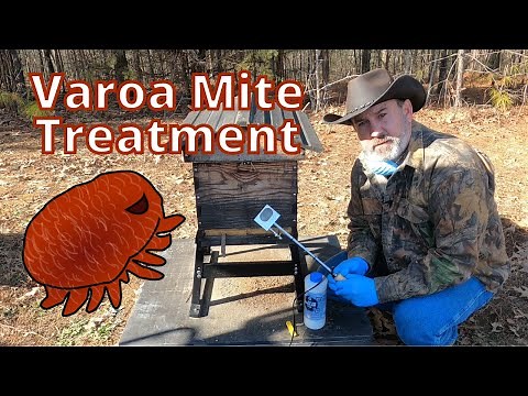 HOW TO Treat Honey Bees for Varroa Mites | Oxalic Acid Vaporization | Winter Single Treatment