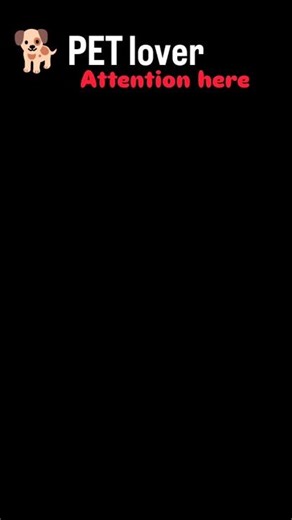 rabies is not joke #rabiesawareness #shorts