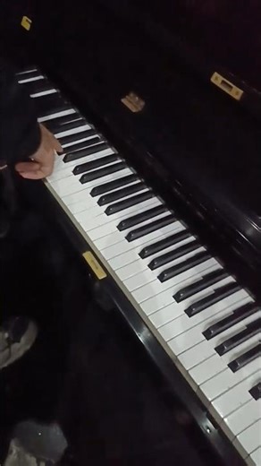 Professional Violin Concert Performance | Live Performance Techniques & Stage Success Secrets #music