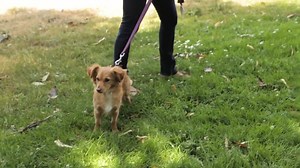 73K views · 833 reactions | When caller ID goes bad. | Funniest Ever | Facebook