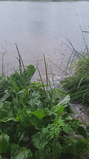 I don't even need a rod. #ClearGenius #bassfishing #fish #fishing #bass #DontQuitYourDaydream