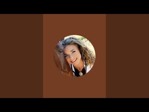 Trailer Loading a young horse