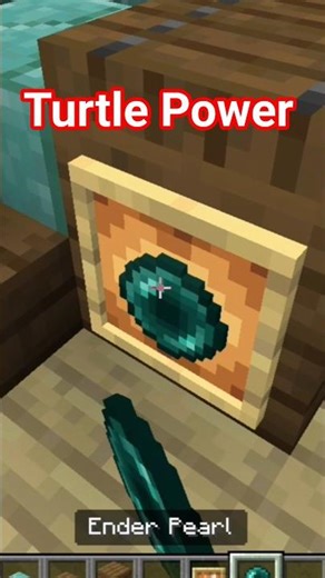 Turtle - Minecraft Tutorial