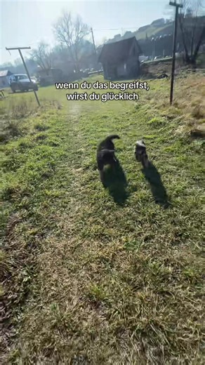 Wie lange hält das Glück, wenn du dir etwas Neues kaufst? Ein paar Stunden. Vielleicht ein Tag. Dann ist es nur noch ein weiterer Gegenstand, der rumliegt und Platz wegnimmt .. Komisch eigentlich.. wir kaufen Dinge, um etwas zu fühlen und enden damit, uns leerer zu fühlen als vorher. Niemand sagt dir das offen, aber hier ist die Wahrheit Du kannst dich nicht reich genug kaufen, um dich selbst zu mögen. Das Gefühl, das du suchst, kommt nicht aus Kartons, Paketen oder Bildschirmen 🙏🏽 Es kommt, w