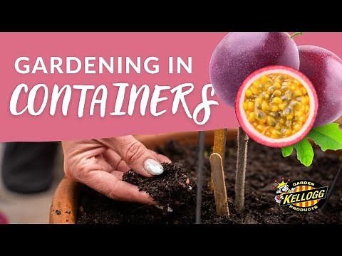 Growing Passion Fruit In Containers