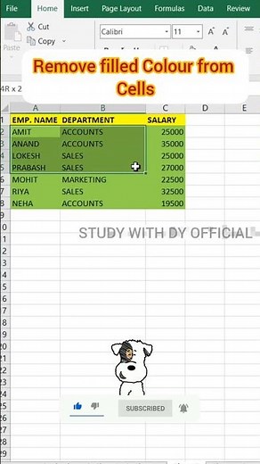 #shorts | Remove colour 🔥 from selected cell in excel | Study with dy official | #excel #ytshorts