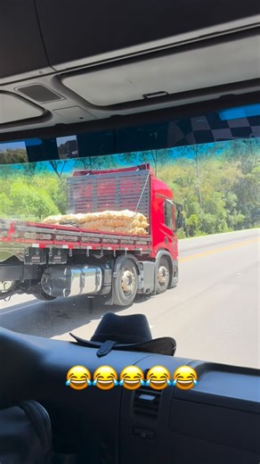 bassofrutas on Instagram