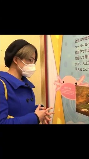 ウーパールーパーの最終形態！？上陸個体#shorts
