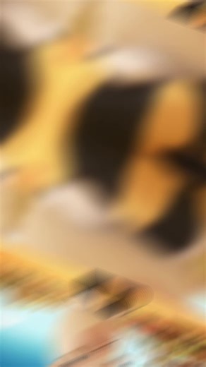 Rabbids Invasion: The Animated Adventure