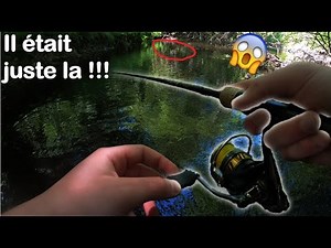 GROS POISSONS INATTENDUS Dans Cette PETITE Rivière !!!