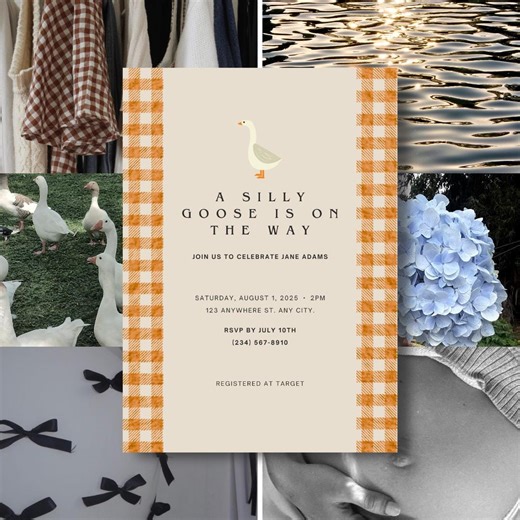 Bird Baby Shower Invitation | A Silly Goose is on the Way Invite | Editable Canva Template | Printable Gender Neutral Gender Party Download - Etsy