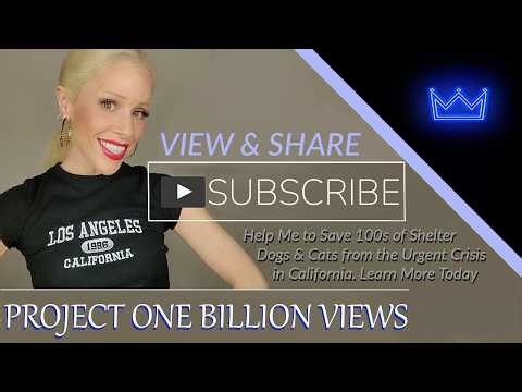 Project 1 Billion Views: Help Me to Rescue Dogs & Cats from the Crisis in #California #adoptdontshop